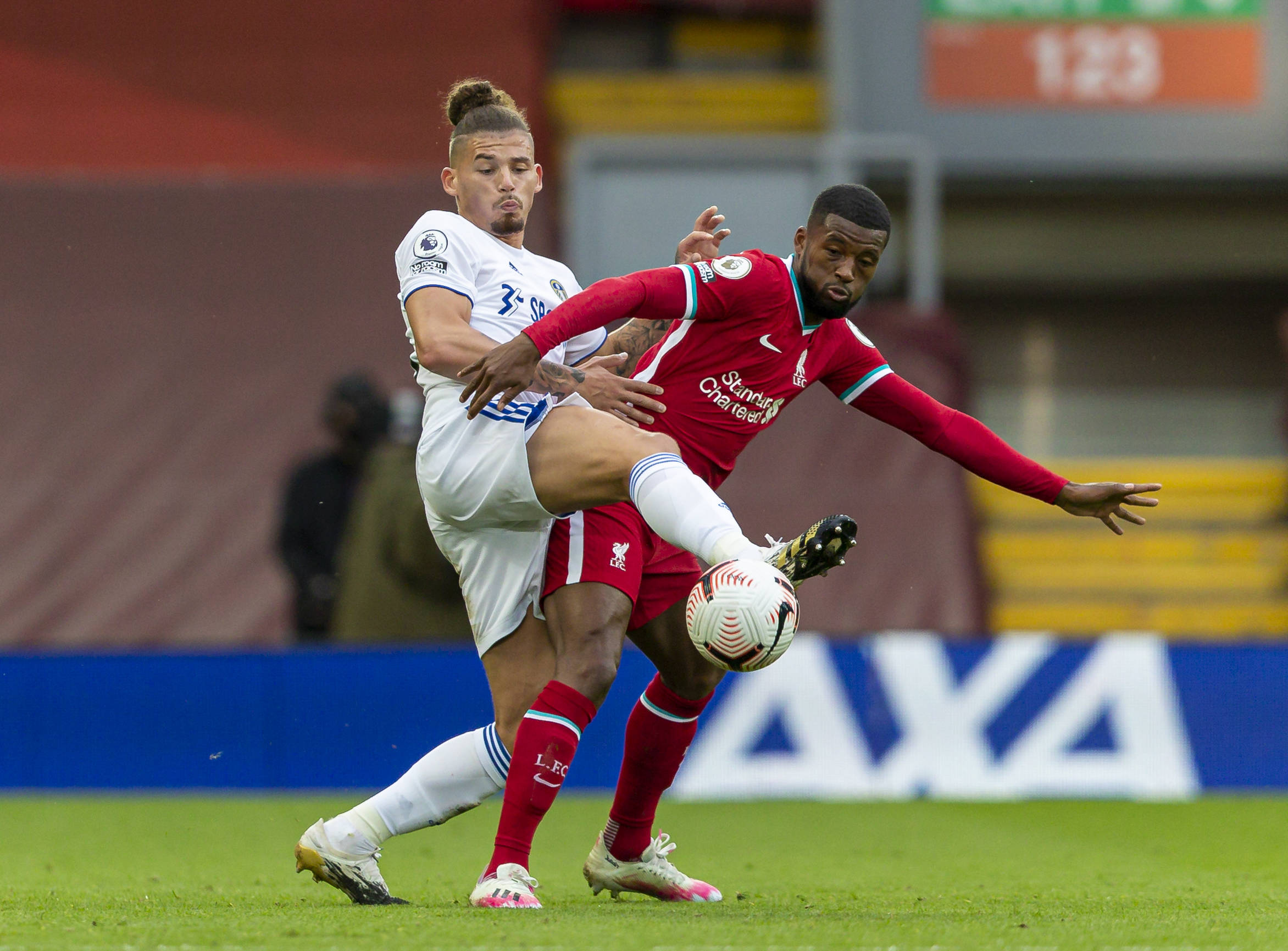 球迷和意見 球迷和意見